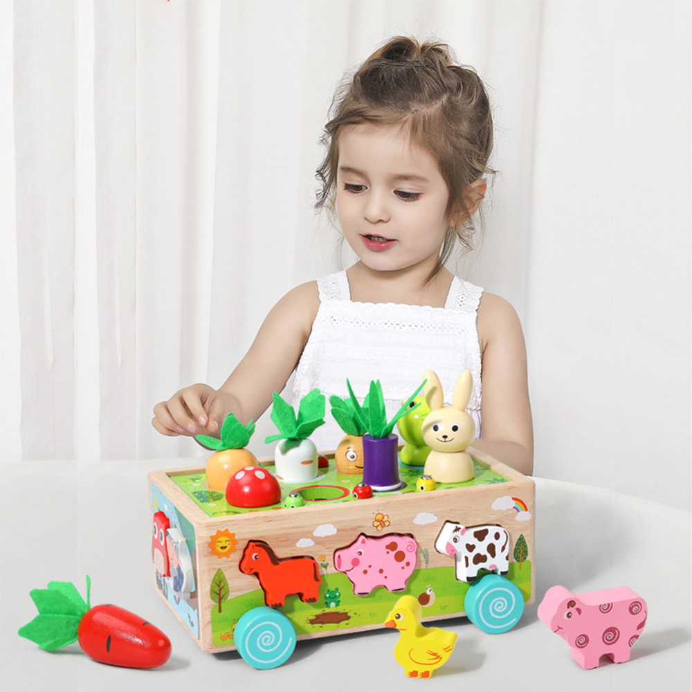 Assortimento di forme in legno - Kids Education Number recensione e prezzo